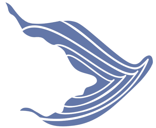 flosse