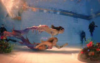 Zwei Mermaids gleiten an Tauchern und Unterwasser-Deko vorbei