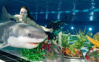 Mermaid unter Wasser neben einer Hai-Figur