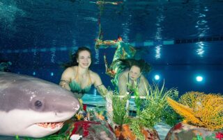 Zwei Mermaids unter Wasser hinter Hai-Figur und Korallen-Deko